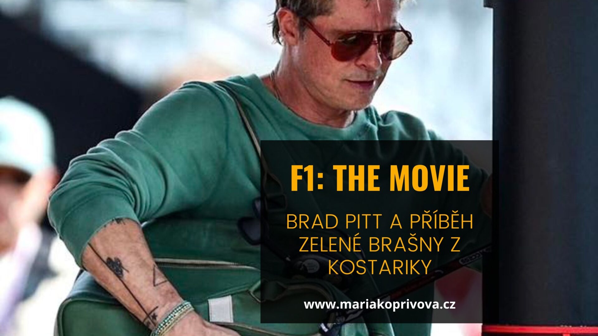 A Green Bag. A Costa Rican Story.